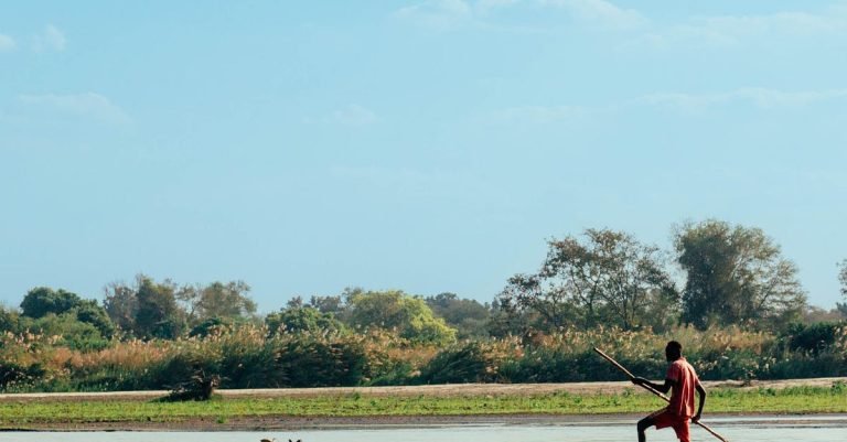 Solo entrepreneur using ad automation tools for efficient marketing