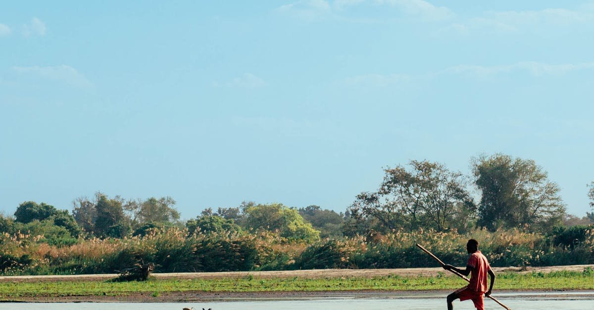 Solo entrepreneur using ad automation tools for efficient marketing