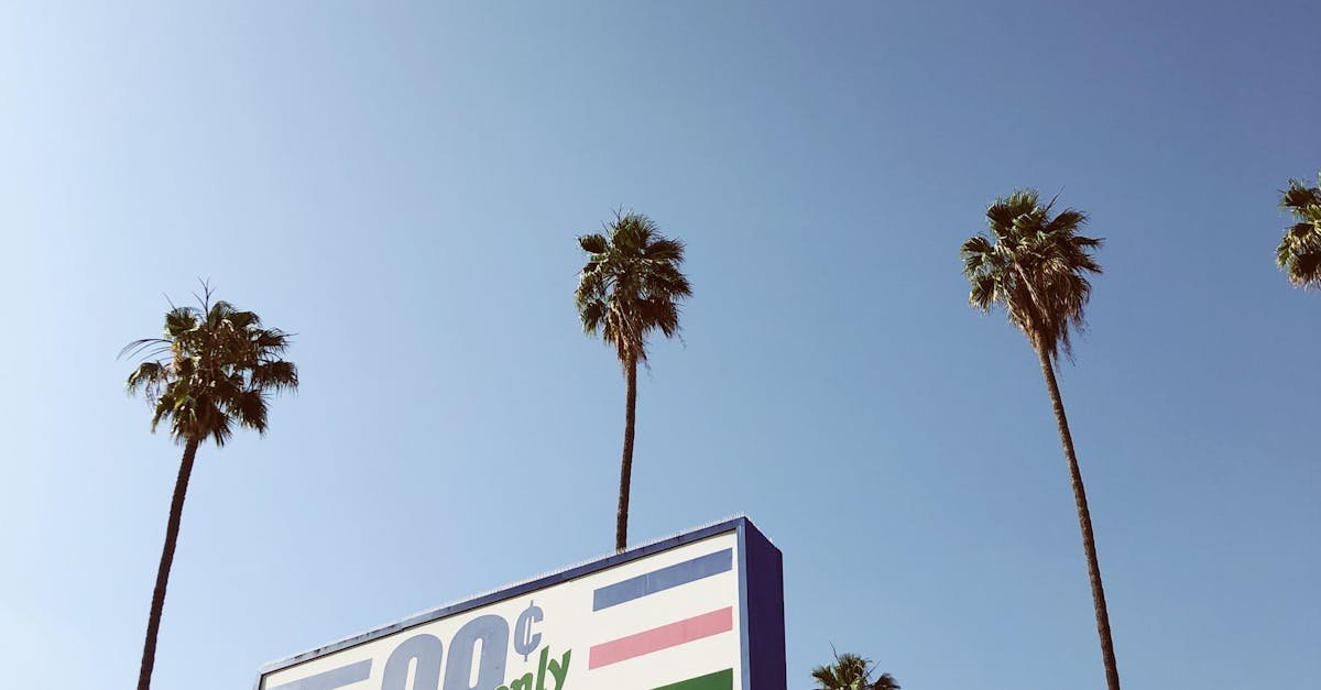 Guide to creating high-performing ads on a budget for marketers